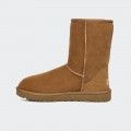 Bota UGG