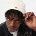 Gorro Dickies Gibsland