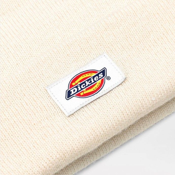 Gorro Dickies Gibsland