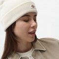 Gorro Dickies Gibsland