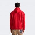 Hoodie Gant World Crest