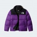 Casaco The North Face 199