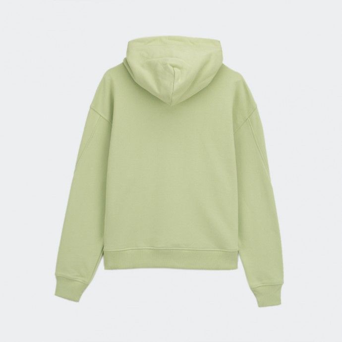 Hoodie Calvin Klein