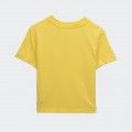T-Shirt Calvin Klein