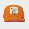 Cap Goorin Bros Animal Fa