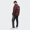 Casaco Tommy Hilfiger TH