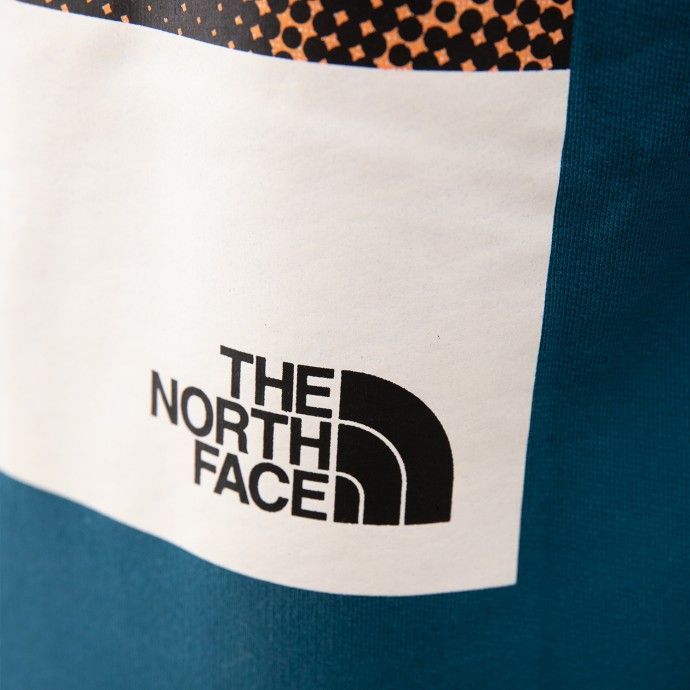 hoodie north face