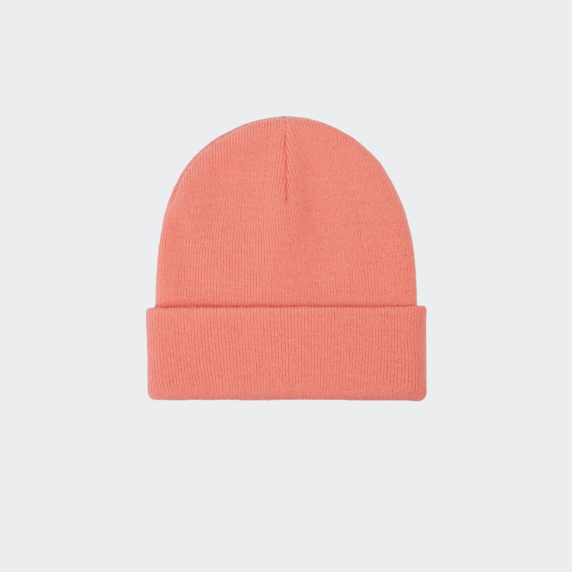 Gorro Dickies Gibsland Flamingo Pume