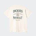 Dickies T-shirt