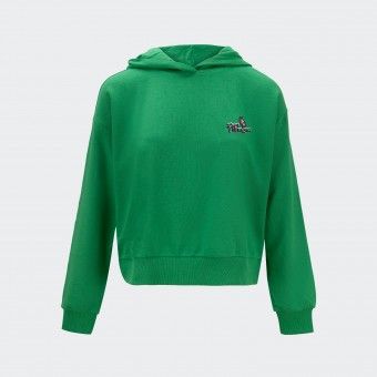 Hoodie Only