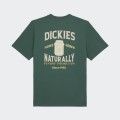 T-shirt Dickies