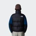 The North Face Vest