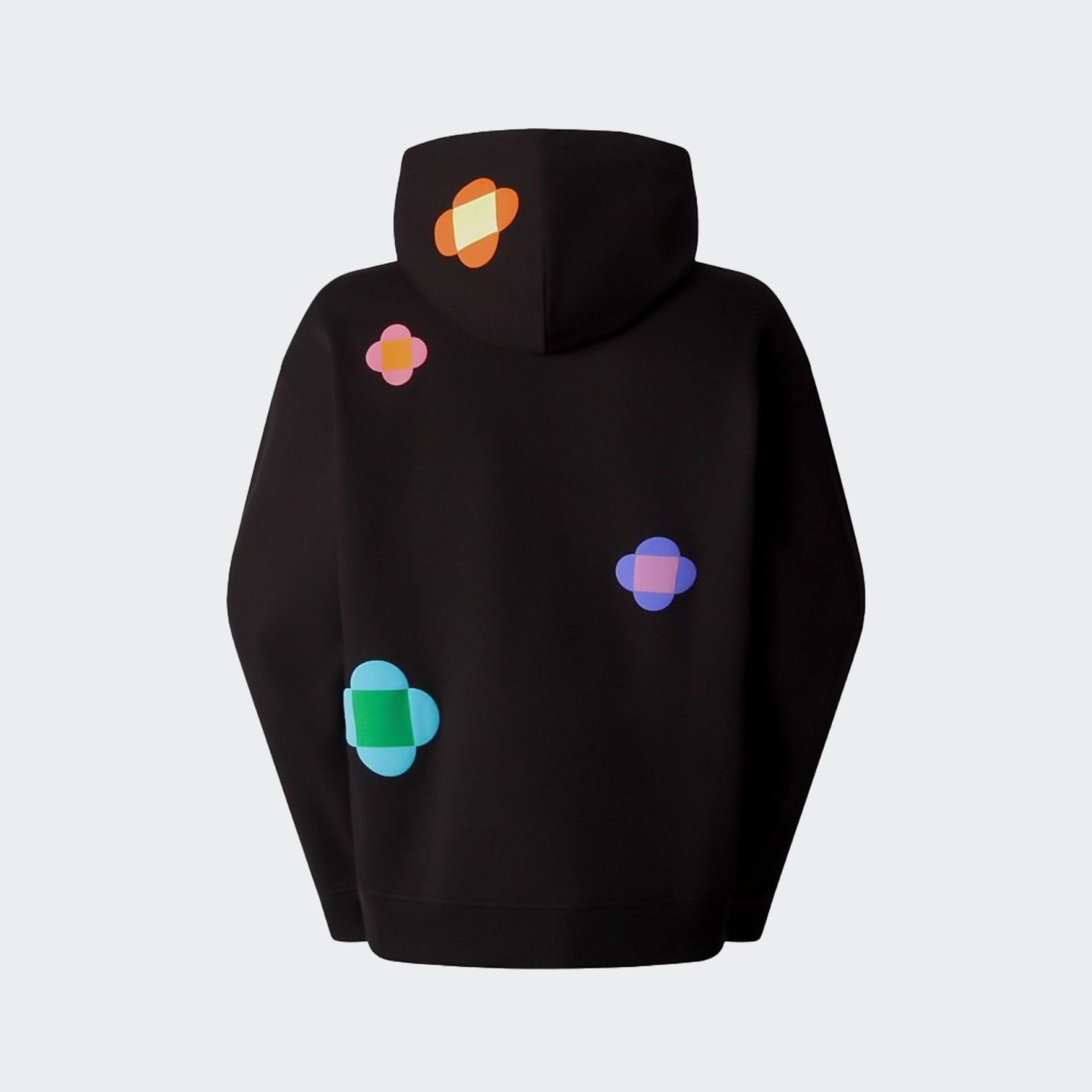 Sudadera con capucha The North Face