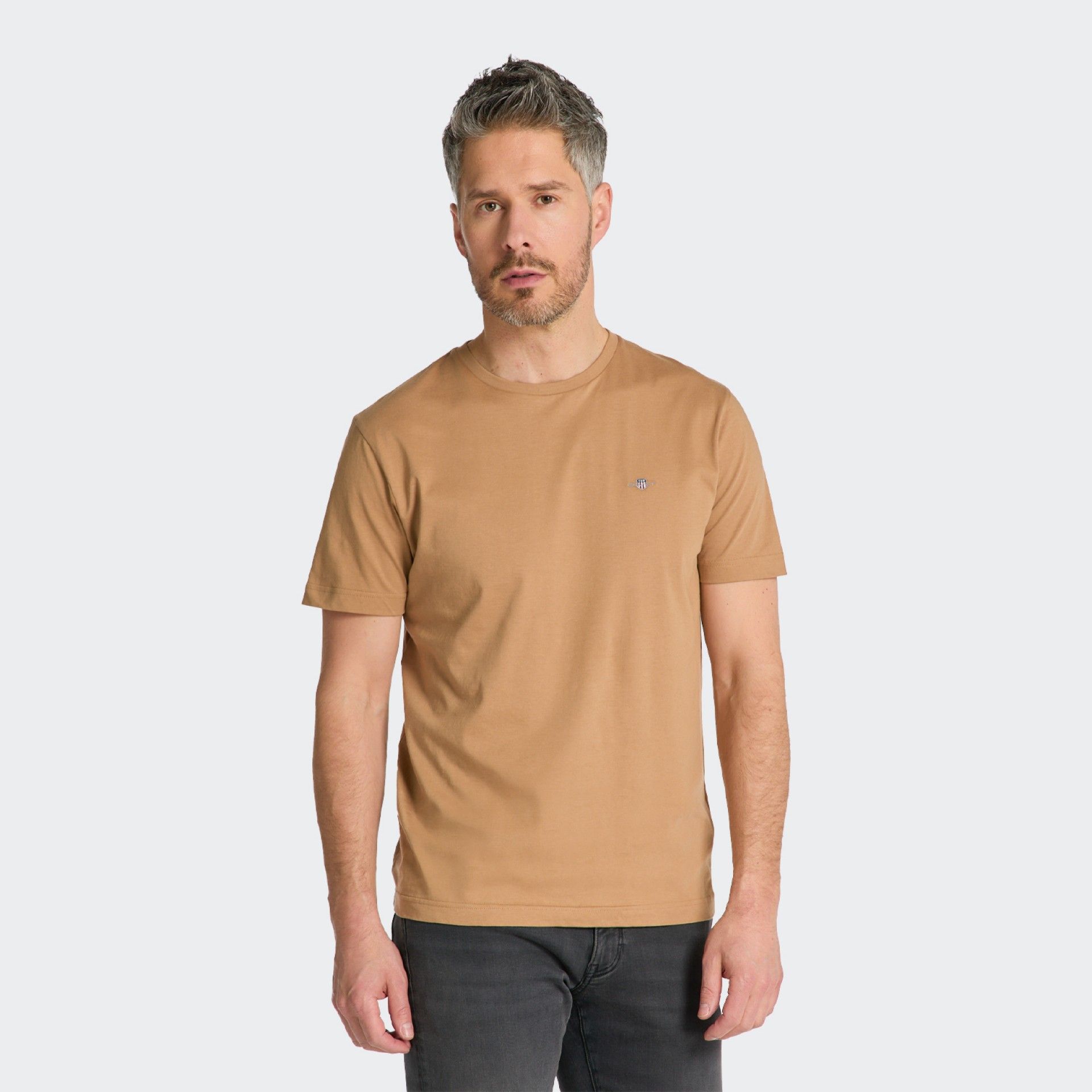 T-shirt GANT Shield Regular Fit