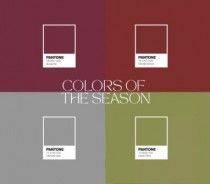 Descobre as cores desta estao: Burgundy, Olive, Cinzento e Castanho
