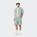 Lacoste Shirt