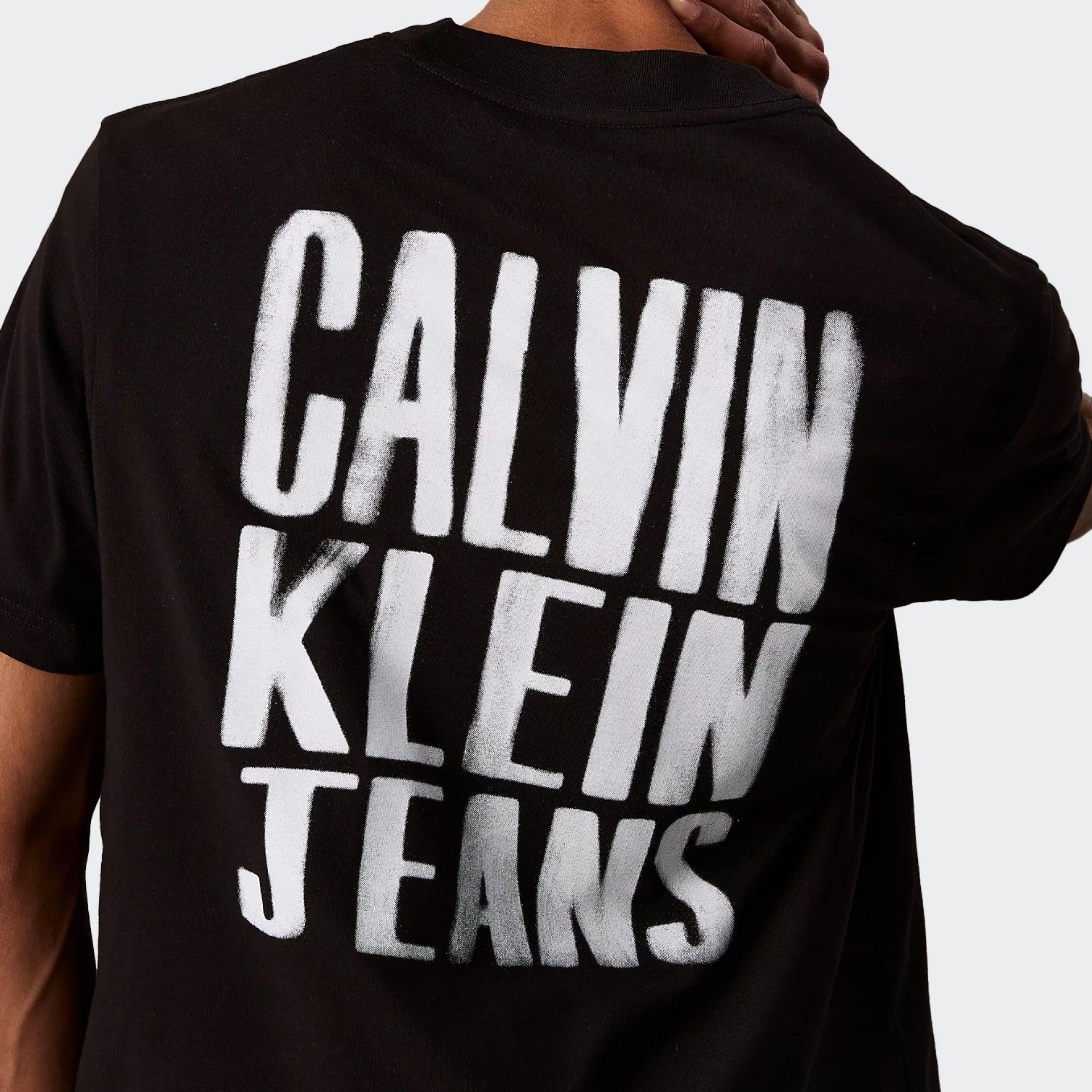 Camiseta Calvin Klein Back Logo