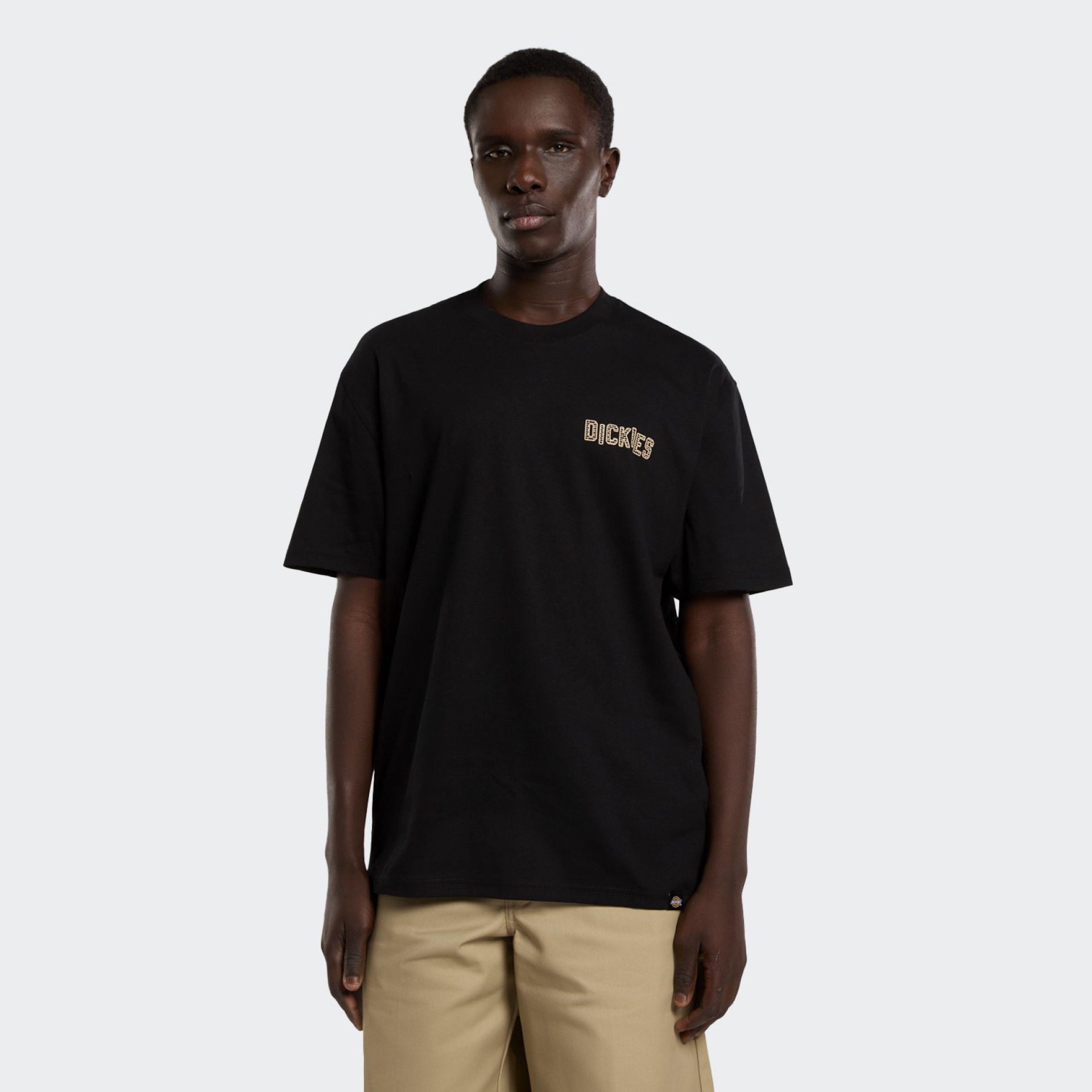 Camiseta Dickies Bricklane