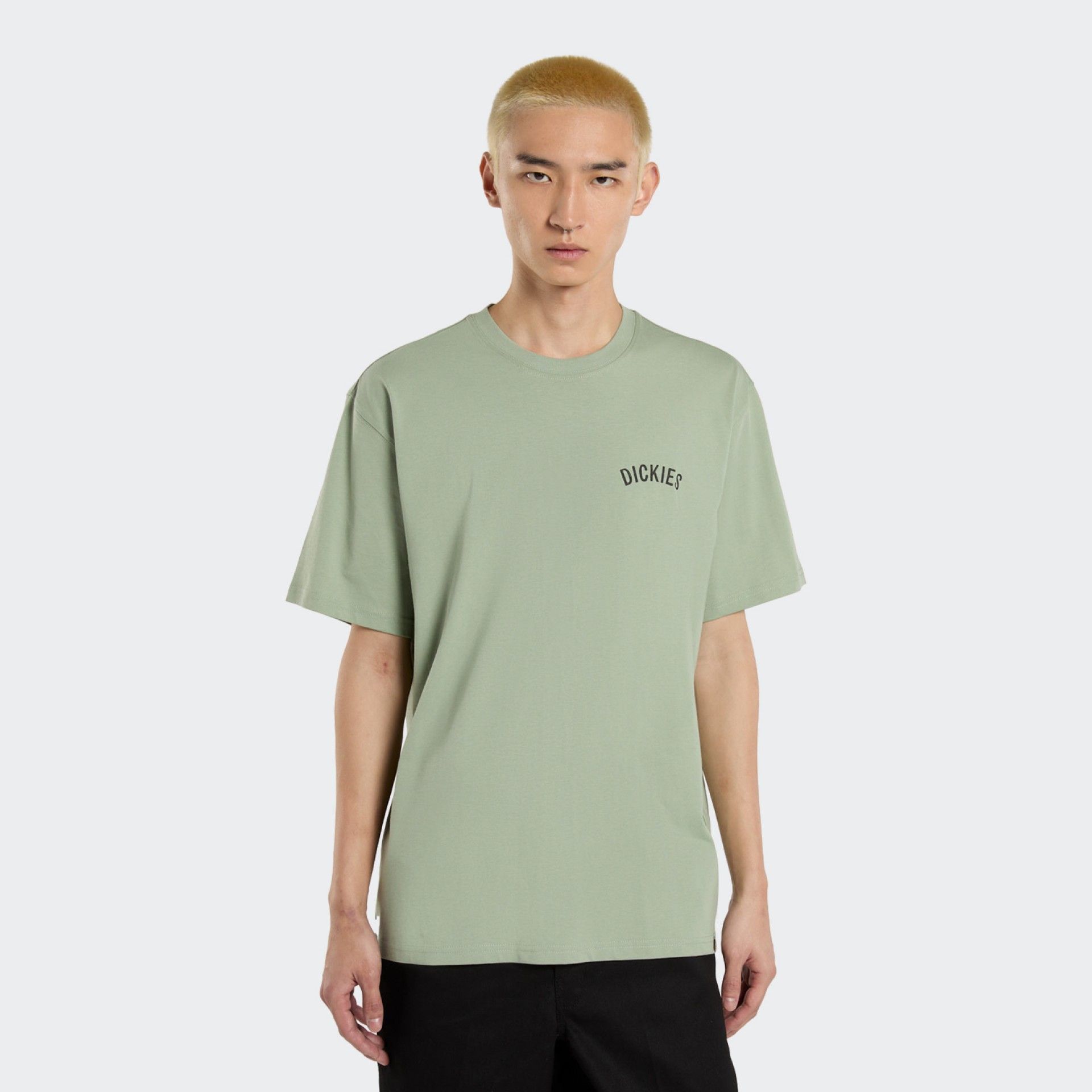 T-shirt Dickies Snake SS