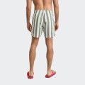 Gant Block Striped Swimming Shorts