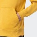 Dickies Camden Box Hoodie