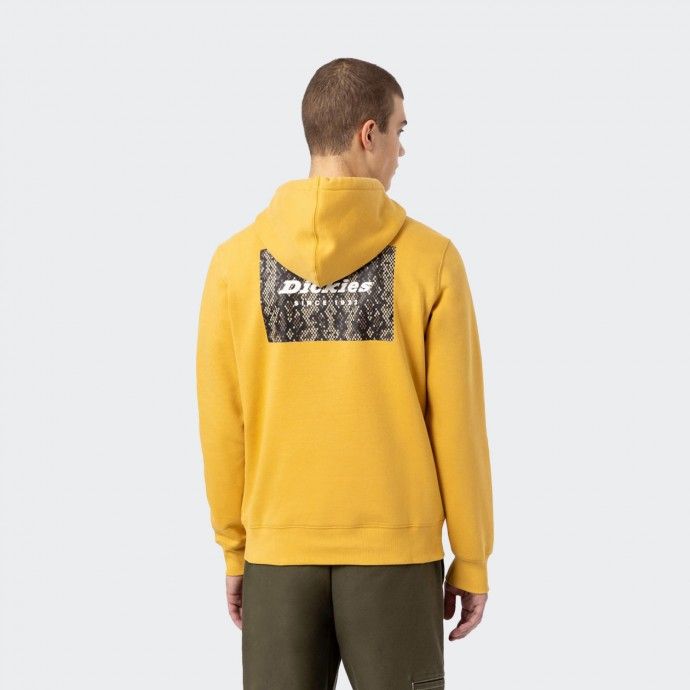 Sudadera con capucha Dickies Camden Box