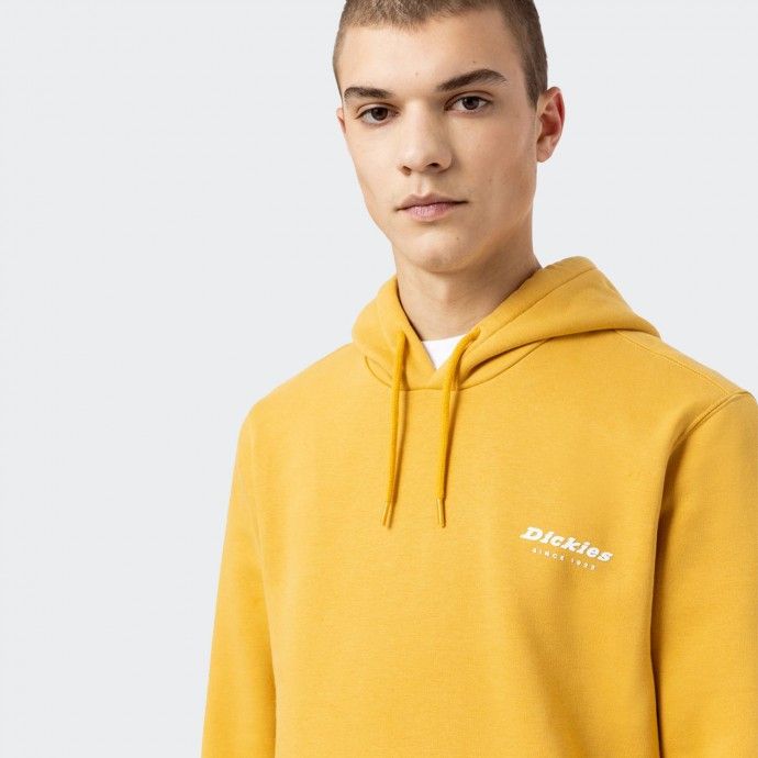 Sudadera con capucha Dickies Camden Box