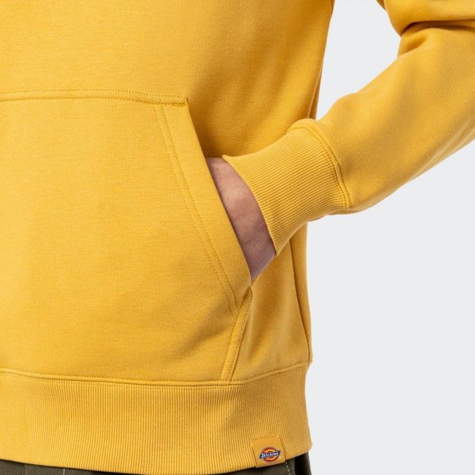 Sudadera con capucha Dickies Camden Box