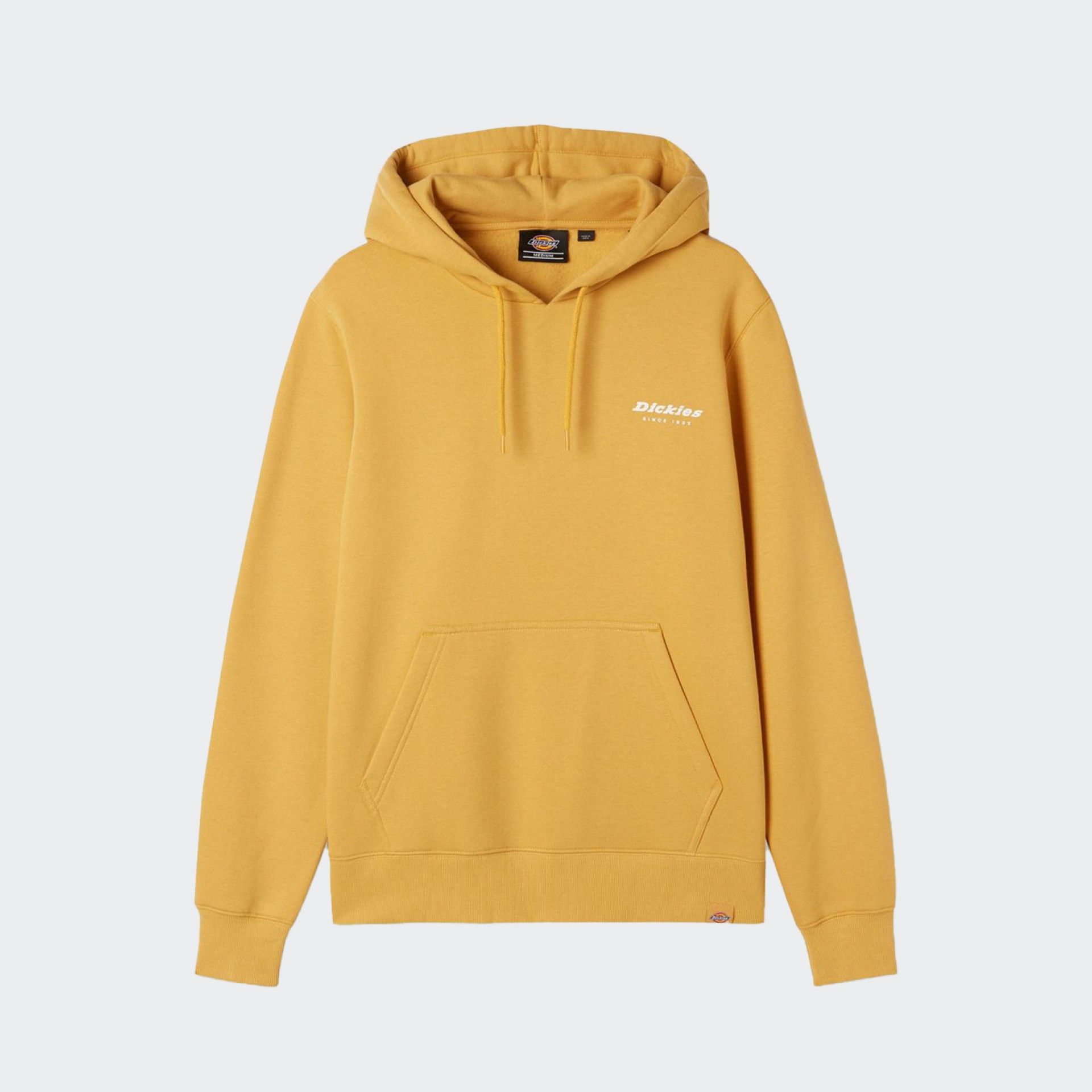 Sudadera con capucha Dickies Camden Box