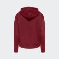 Hoodie Only