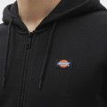 Veste  capuche Dickies Oakport