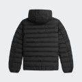 Veste matelasse isolante Fred Perry