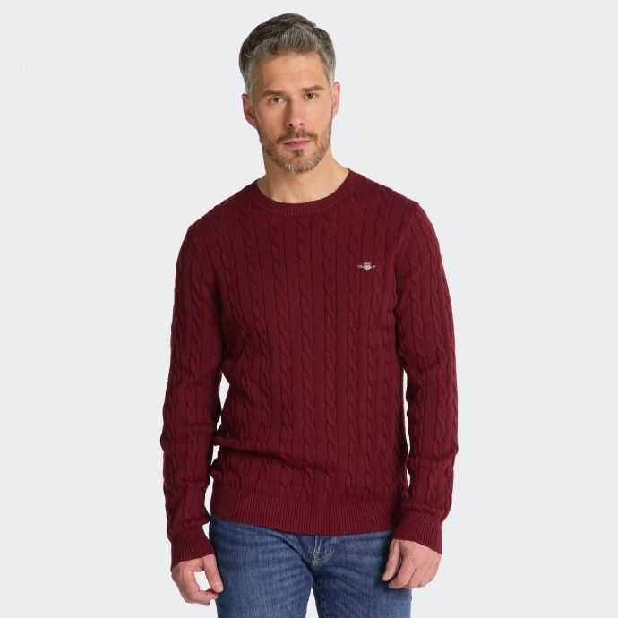 Pull en maille tresse Gant
