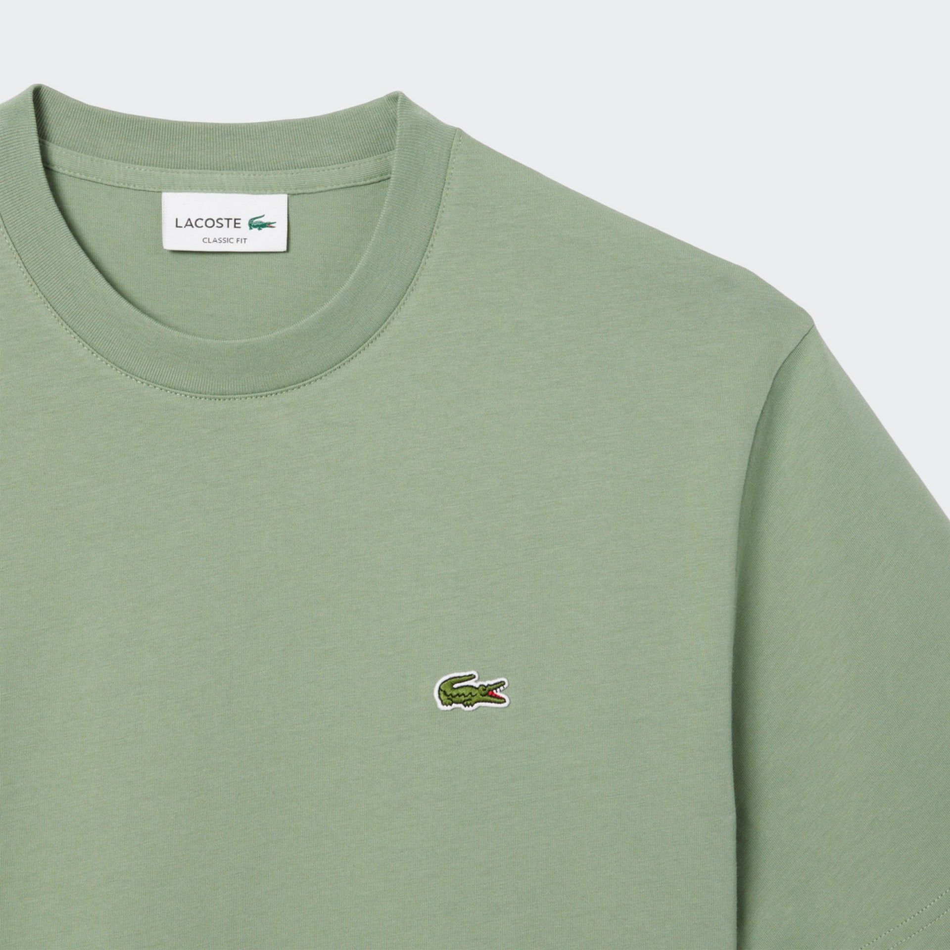 Cotton T-shirt with Lacoste logo