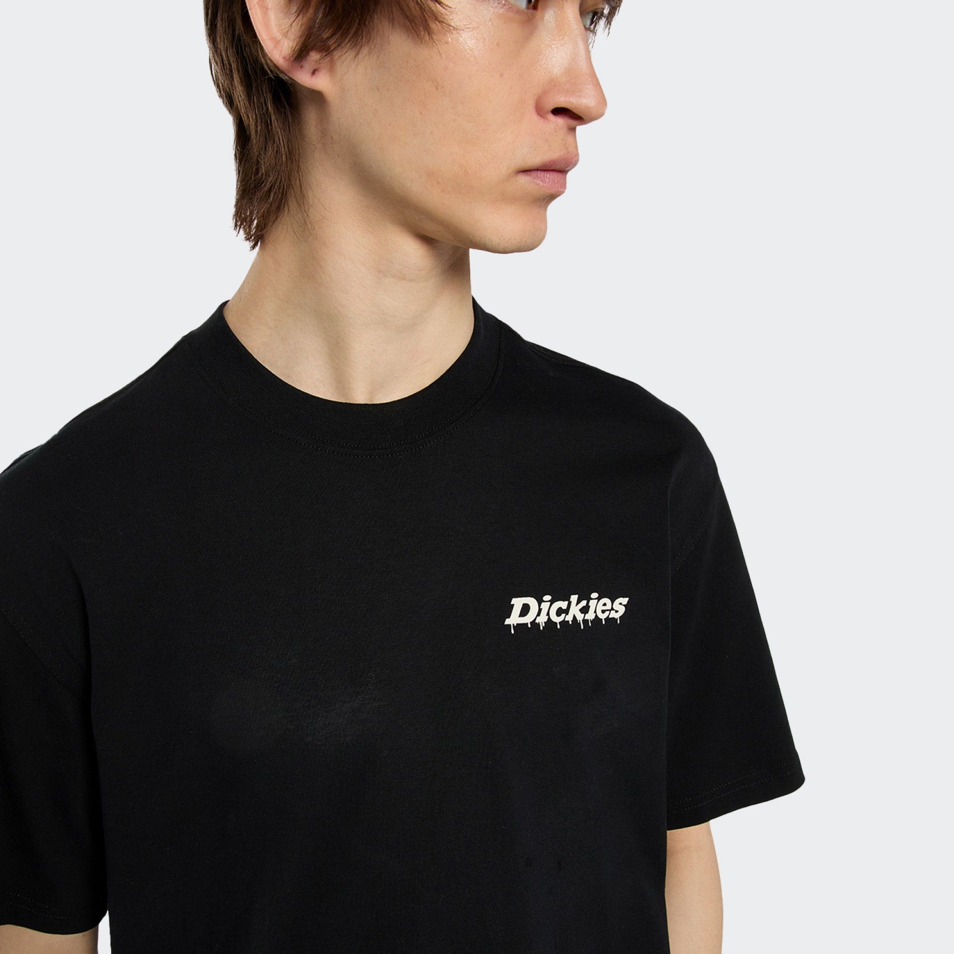 T-shirt Dickies Statesville