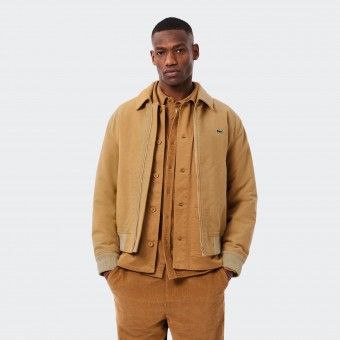 Moleskin Lacoste Jacket