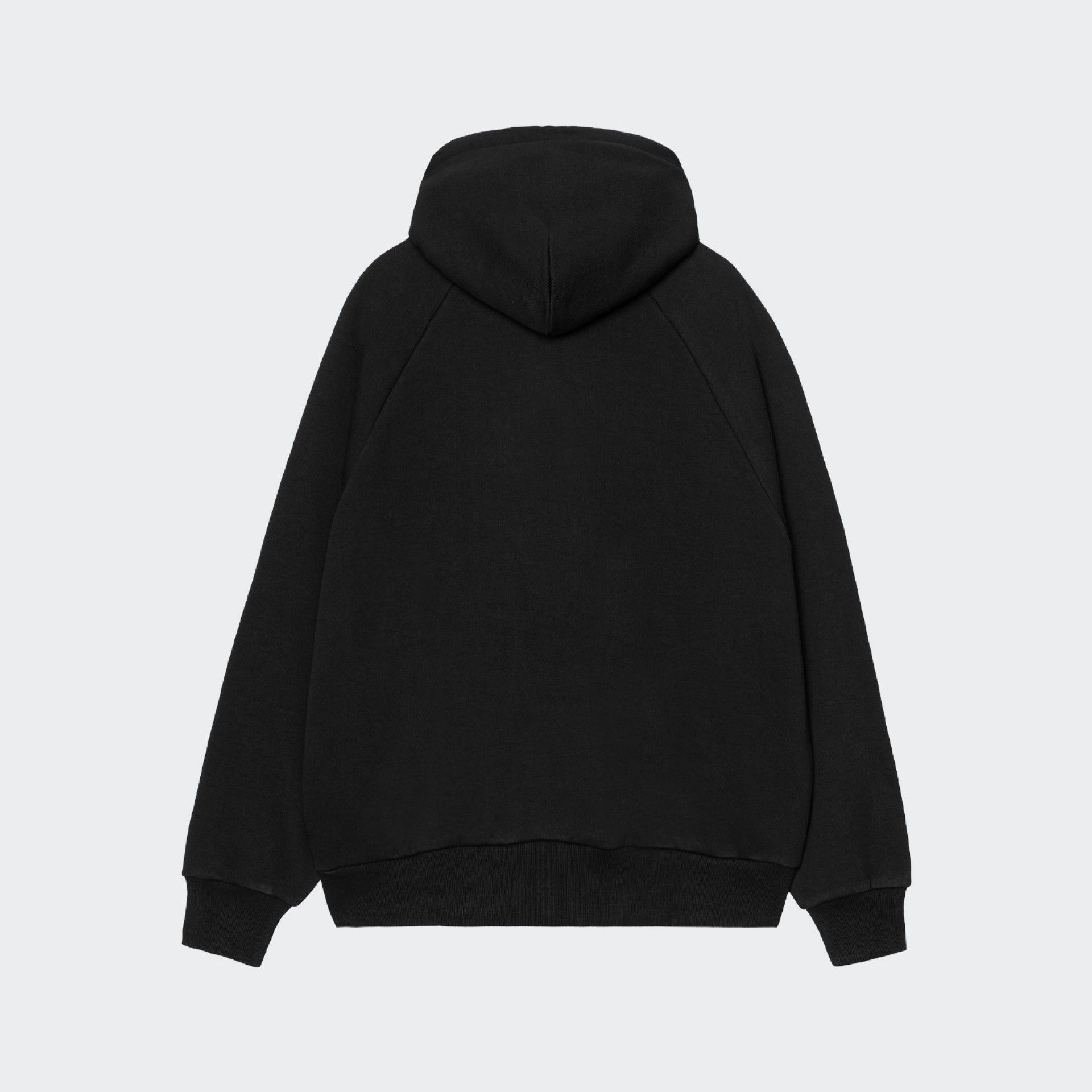 Hoodie Carhartt WIP Ray