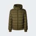 Chaqueta acolchada Pepe Jeans