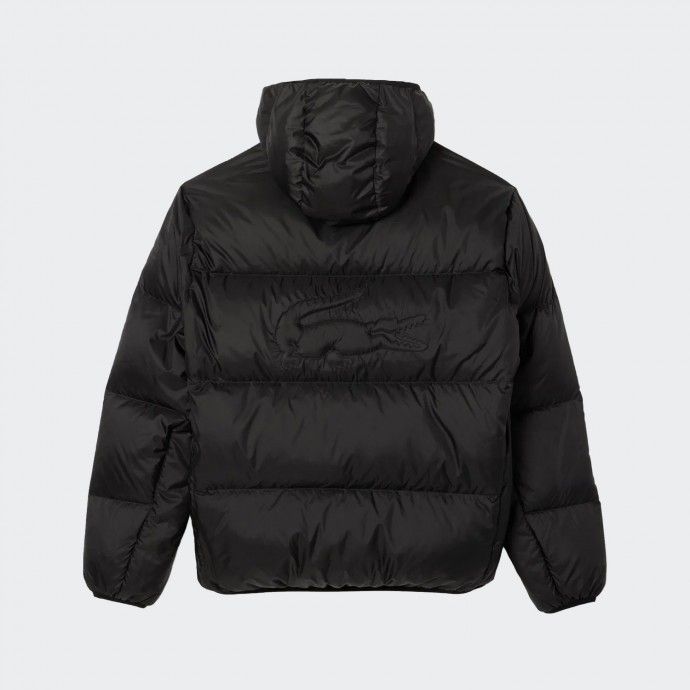 Blusão Acolchoado Lacoste