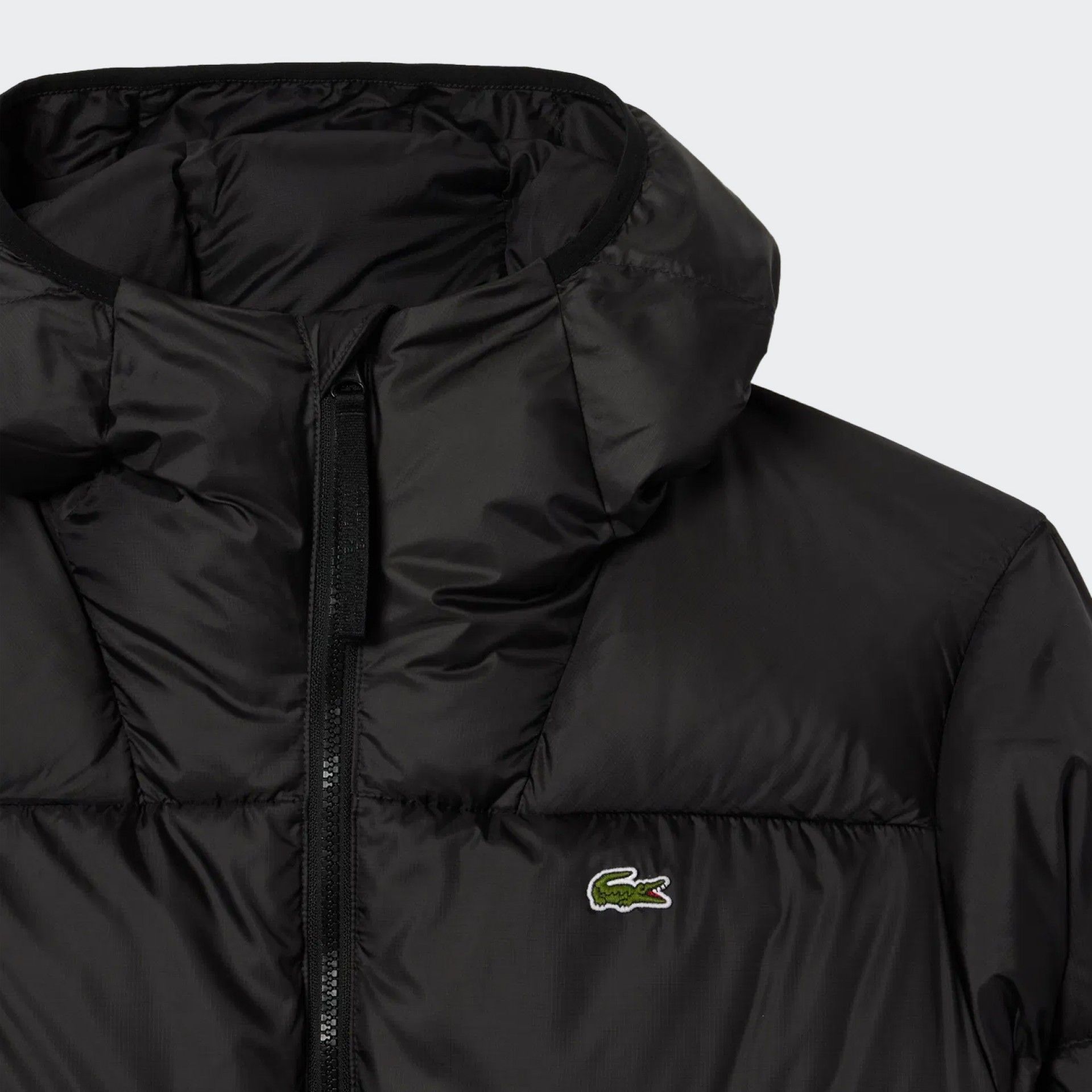 Chaqueta acolchada Lacoste