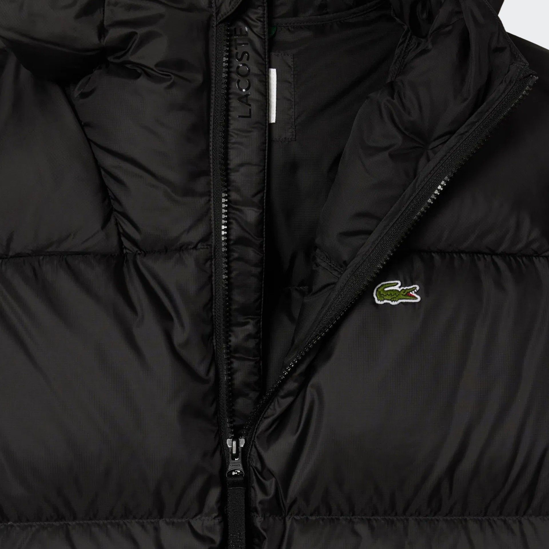 Chaqueta acolchada Lacoste