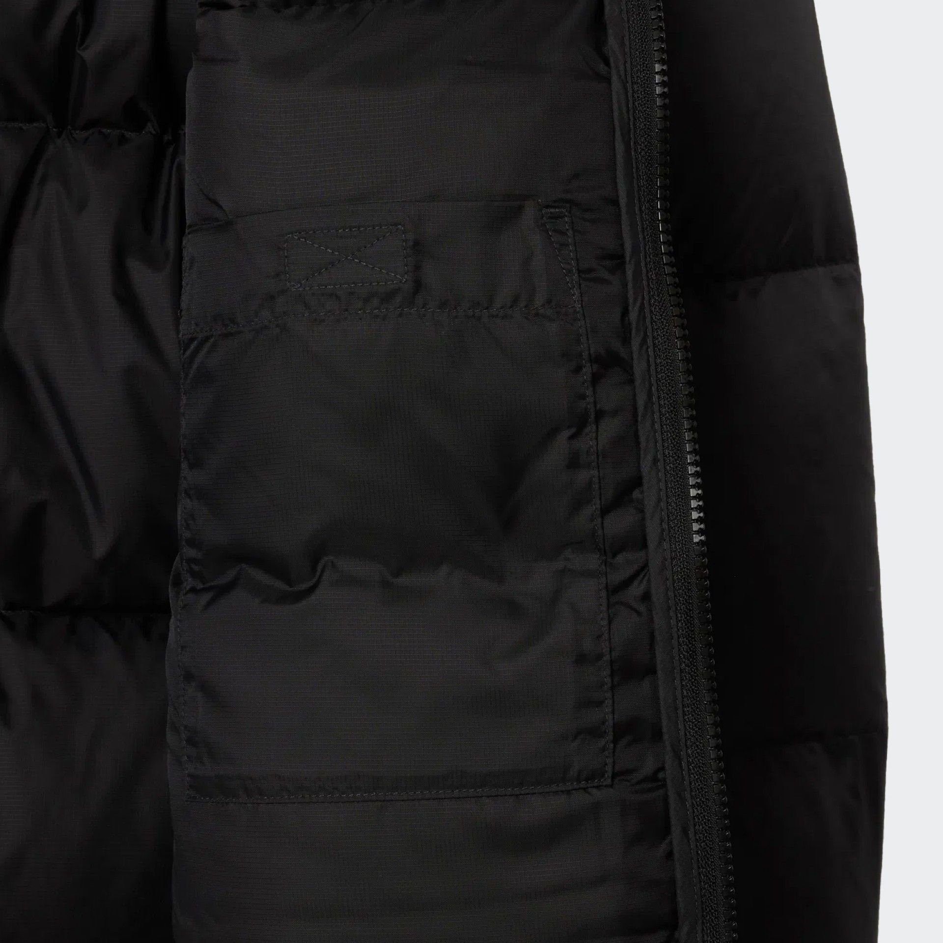 Chaqueta acolchada Lacoste