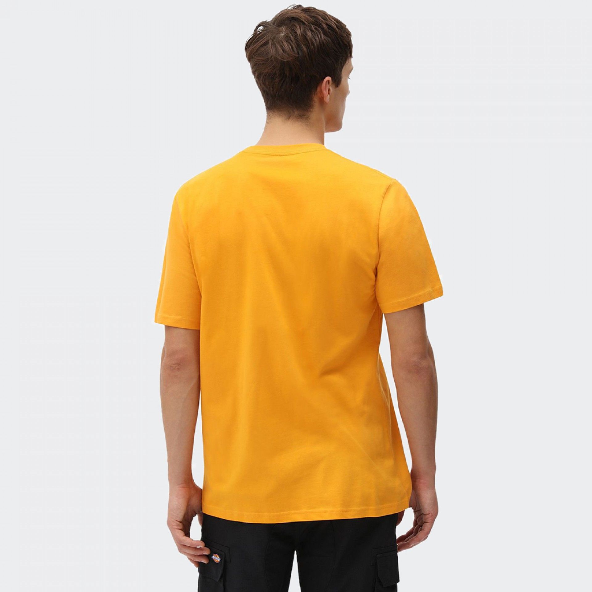 Tshirt Dickies