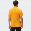 Tshirt Dickies Tshirt Dickies