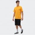 Tshirt Dickies Tshirt Dickies