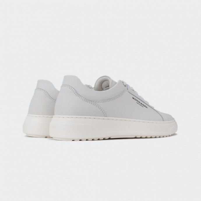 Tenis Scotch Soda