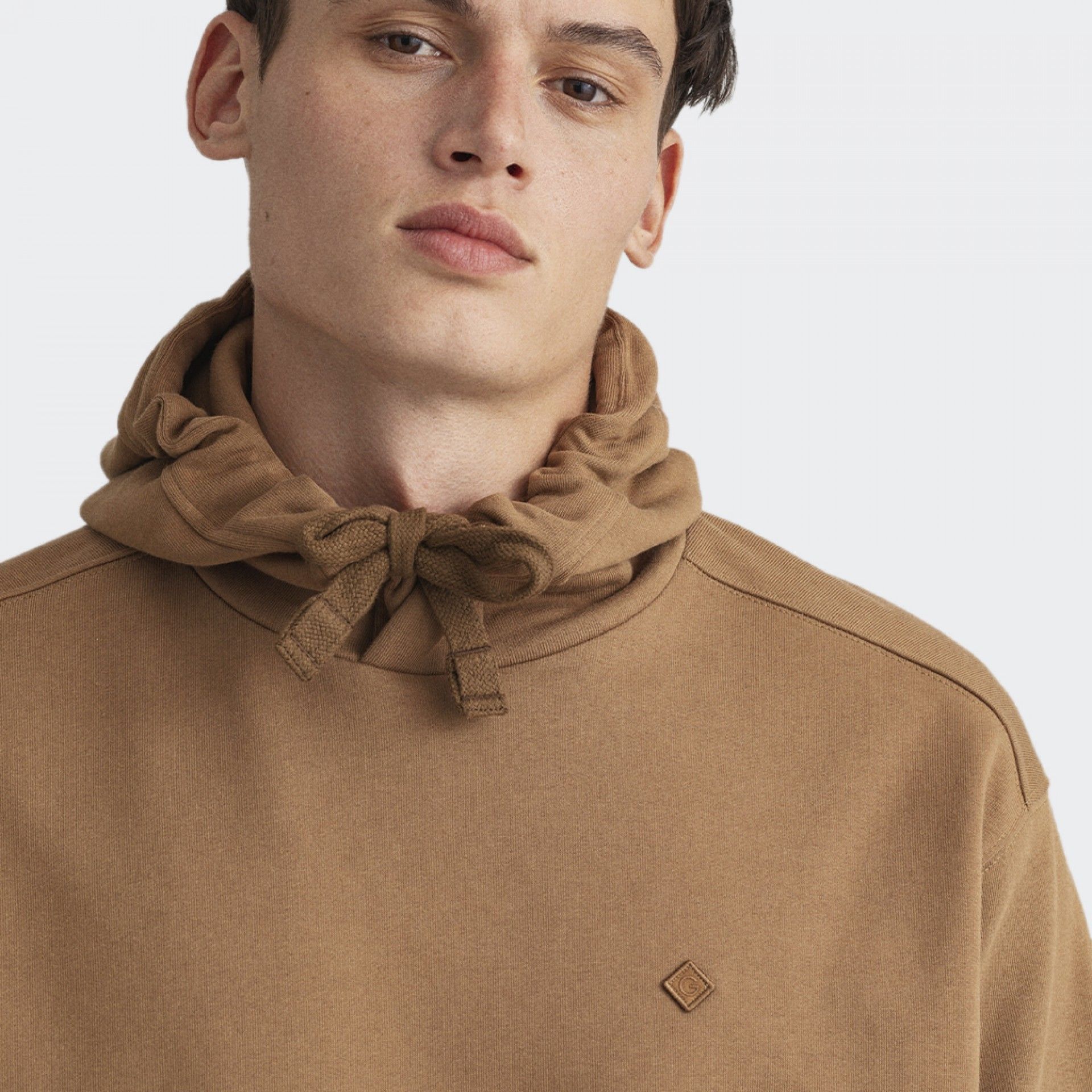 Sudadera Marrón Esencial Gant Iconic G