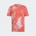 Tshirt Adidas Tshirt Adidas