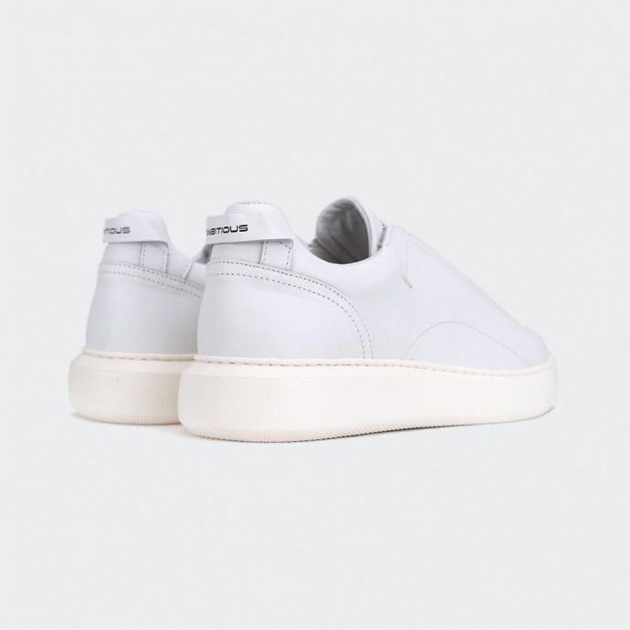 Tenis Ambitious