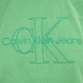 Calvin Klein Green T-shirt